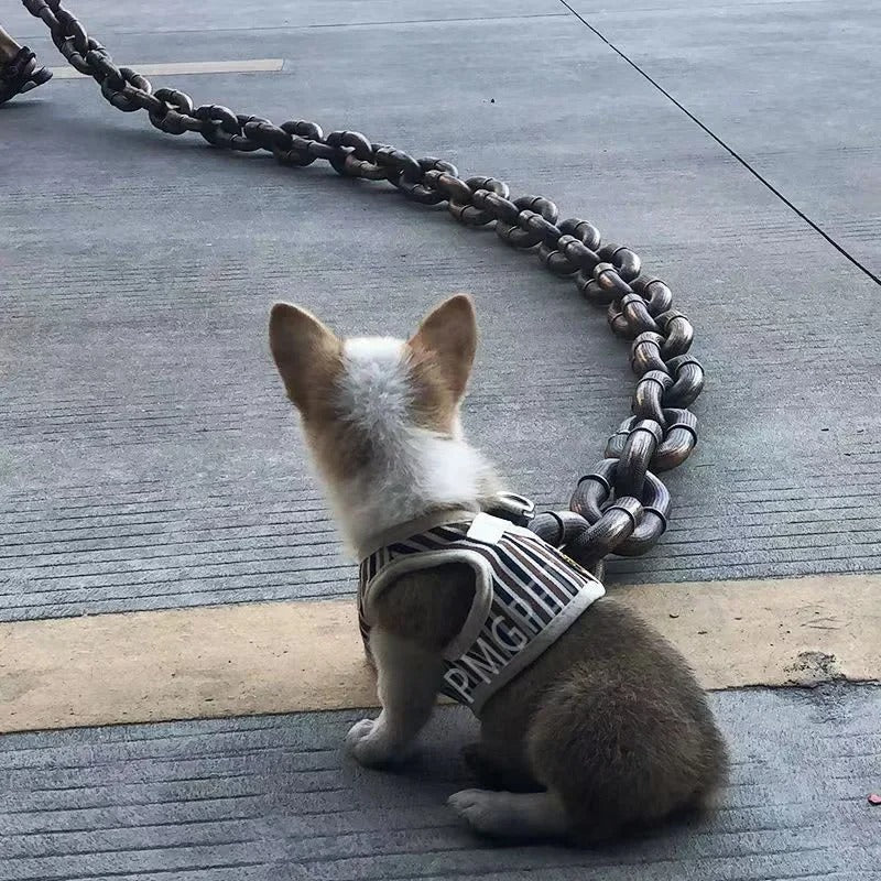 PawLuxe Chain