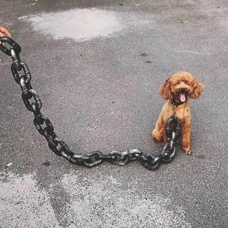 PawLuxe Chain