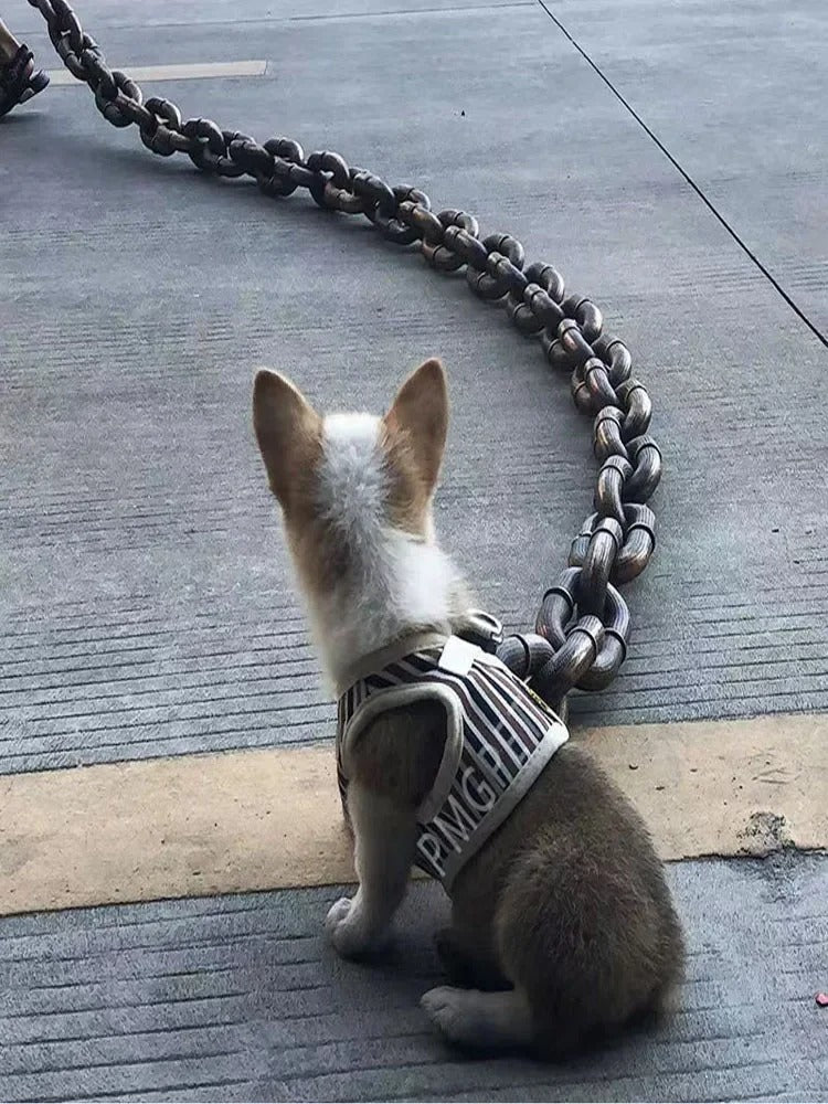 PawLuxe Chain