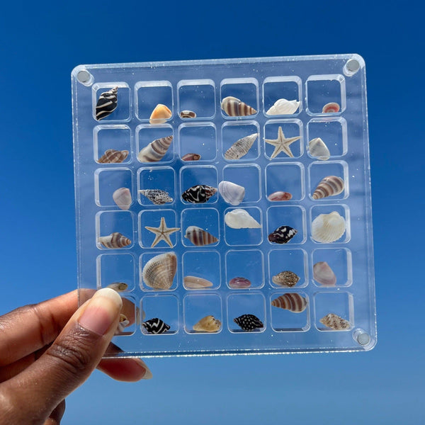 SeaShell Display Case (36 Grid)