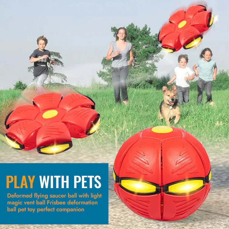 Flying Saucer Pet Ball