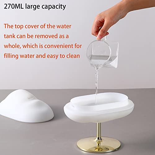 Rain Cloud Humidifier