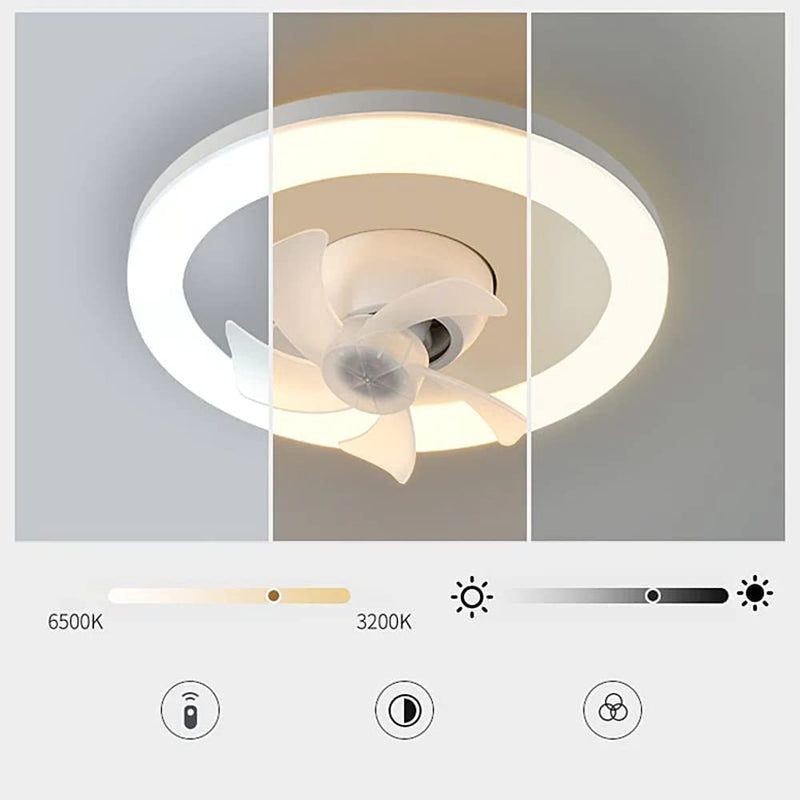 LED Fan Lamp