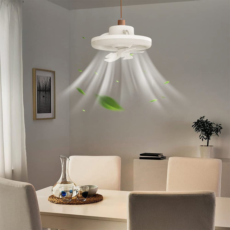 LED Fan Lamp