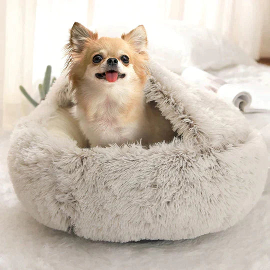 Pawsome Pet Bed