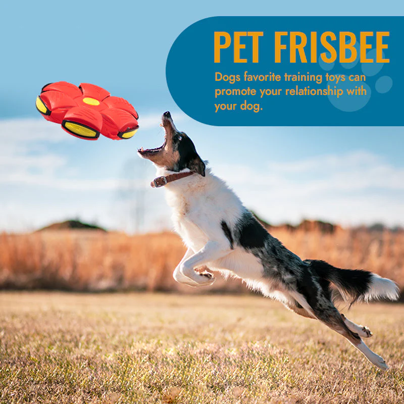 Flying Saucer Pet Ball