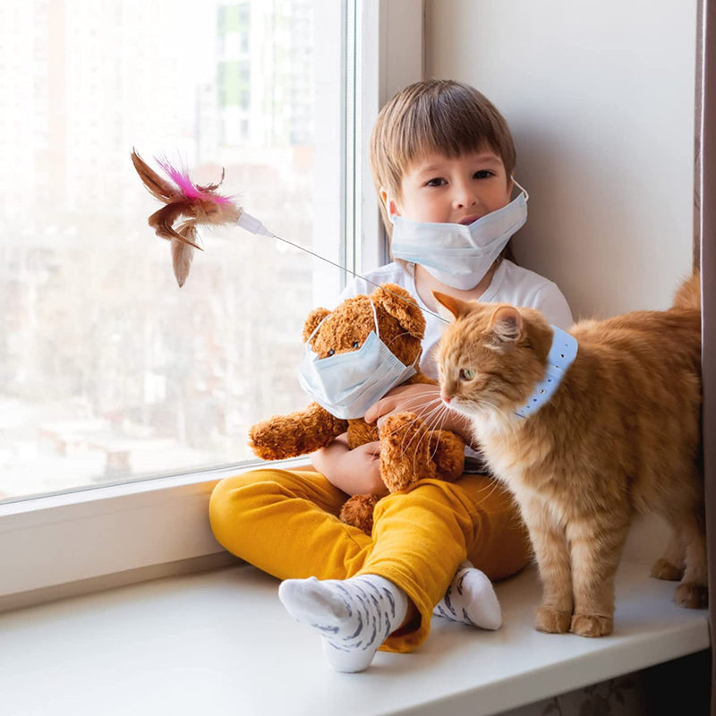 Interactive Cat Collar