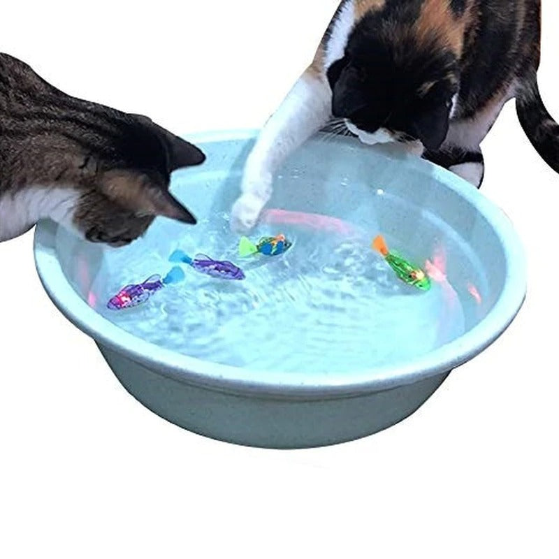 Interactive Fish Toy