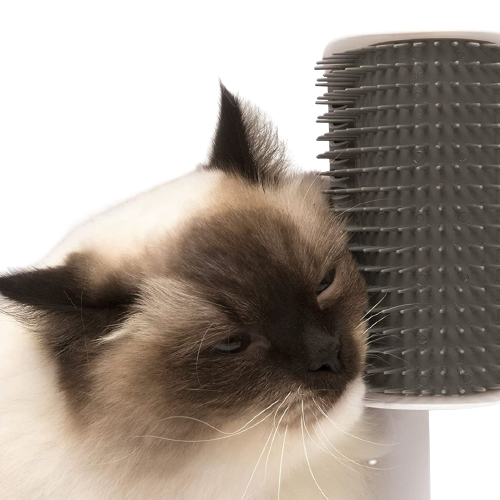 Pet Scratching Brush