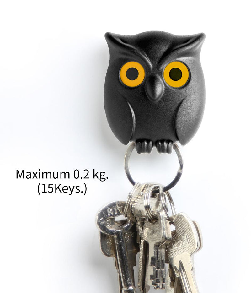 Spooky Night Owl Key Holder