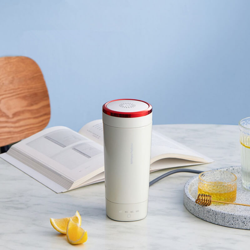 Portable Electric Kettle