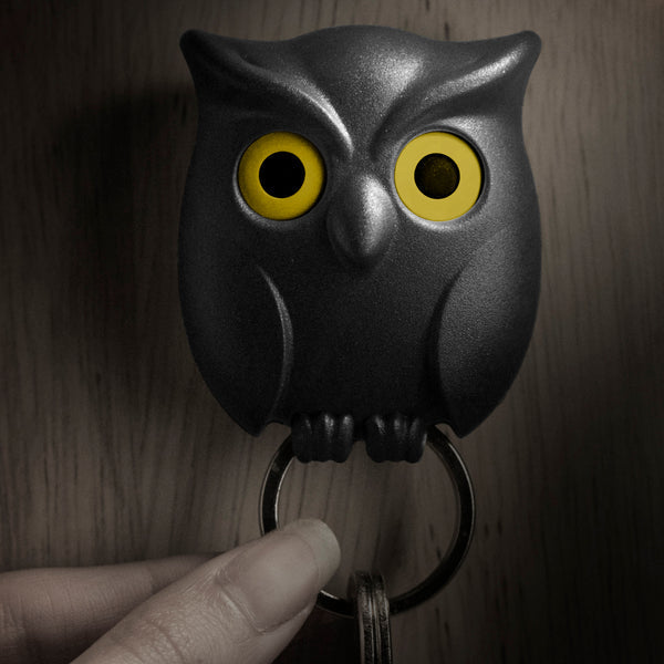 Spooky Night Owl Key Holder