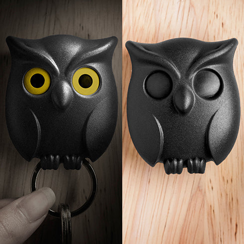 Spooky Night Owl Key Holder