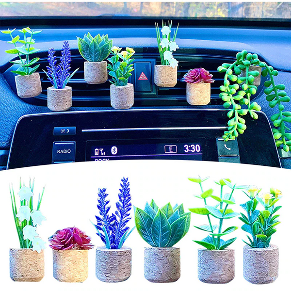 Free Succulent Air Freshener Vent Clips