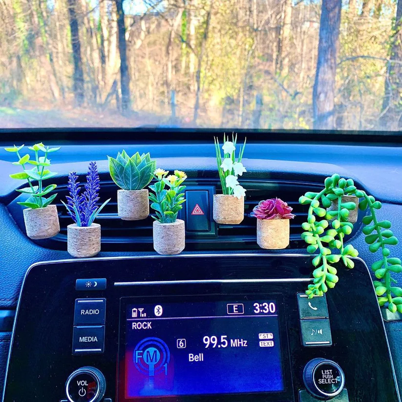 Succulent Air Freshener Vent Clips