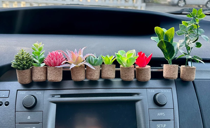 Succulent Air Freshener Vent Clips