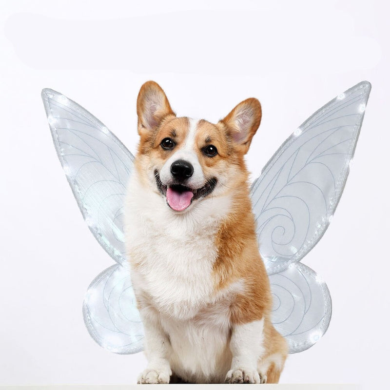 Pet Dazzling Wings