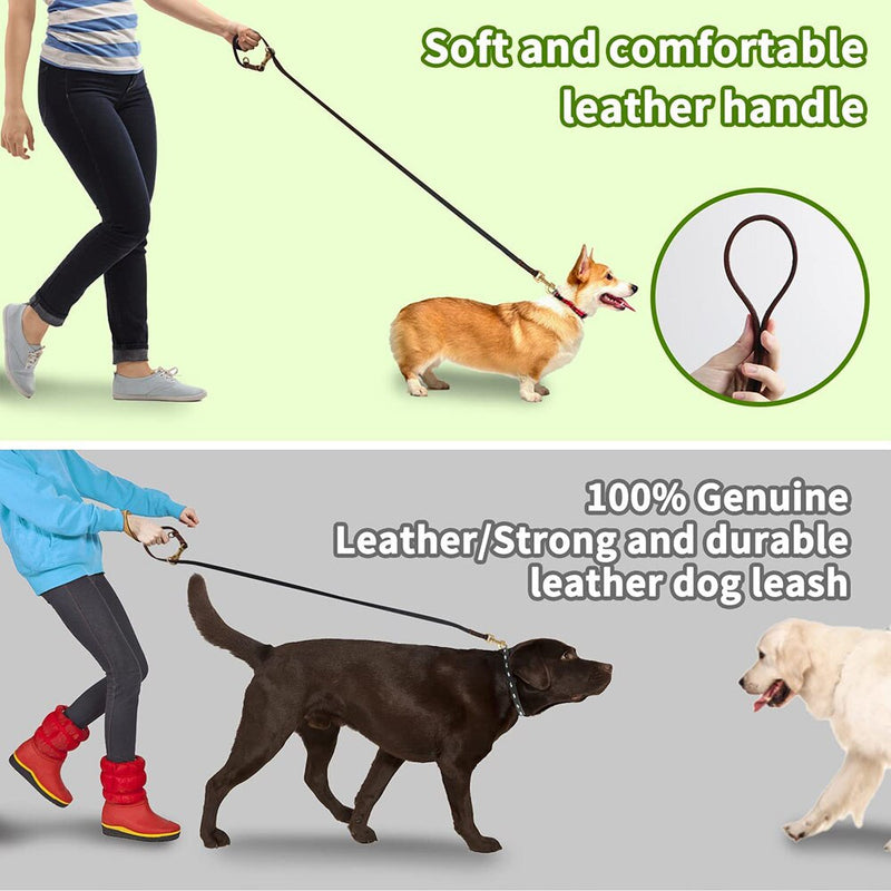 Hands Free Dog Leash