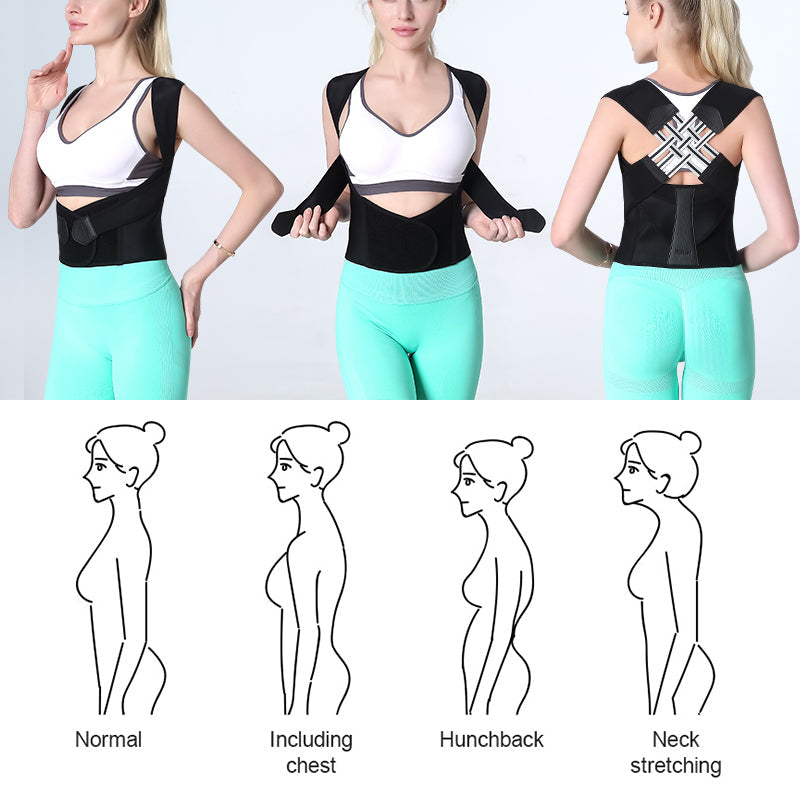 Back Posture Belt