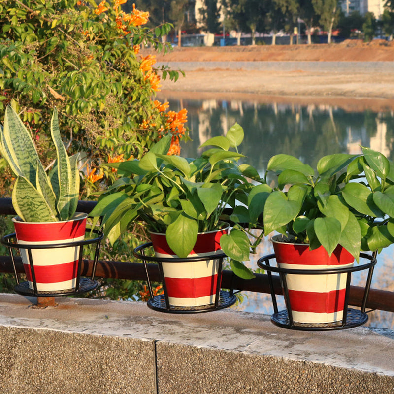 Iron Hanging Baskets