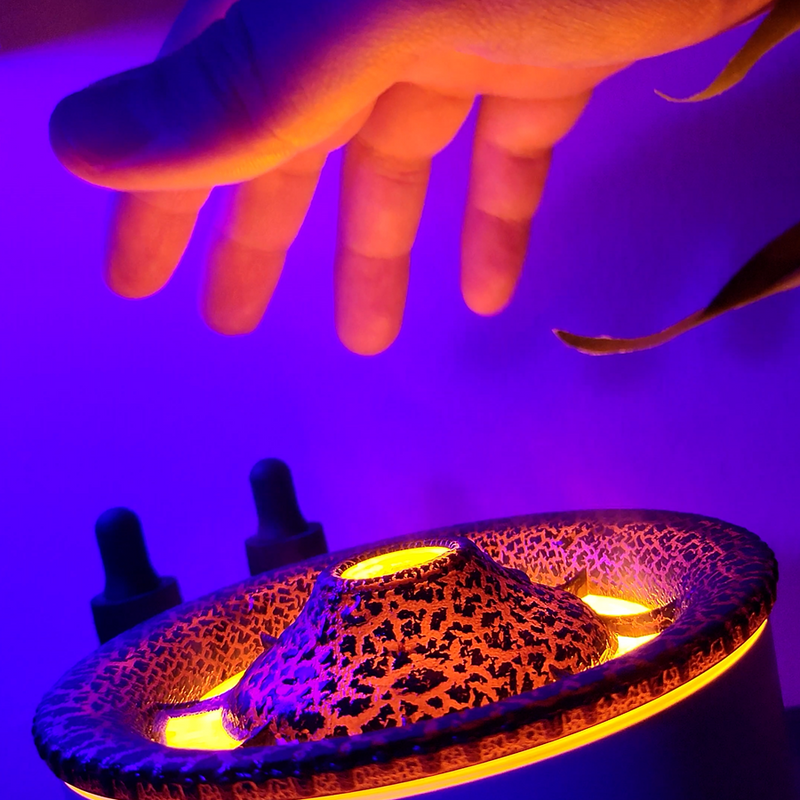 Volcanic Aromatherapy Humidifier