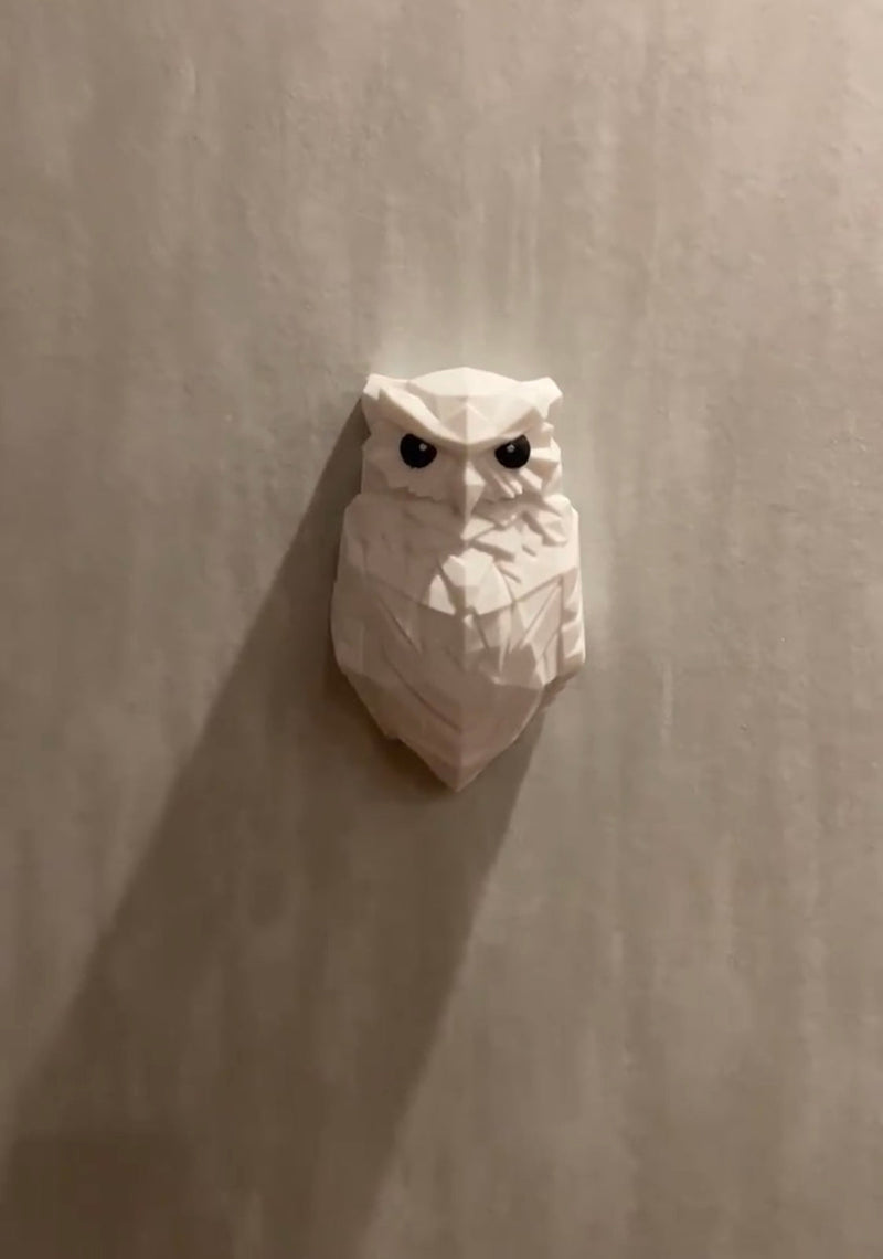 Magical owl lamp