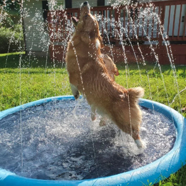 Pup Sprinkler Pad