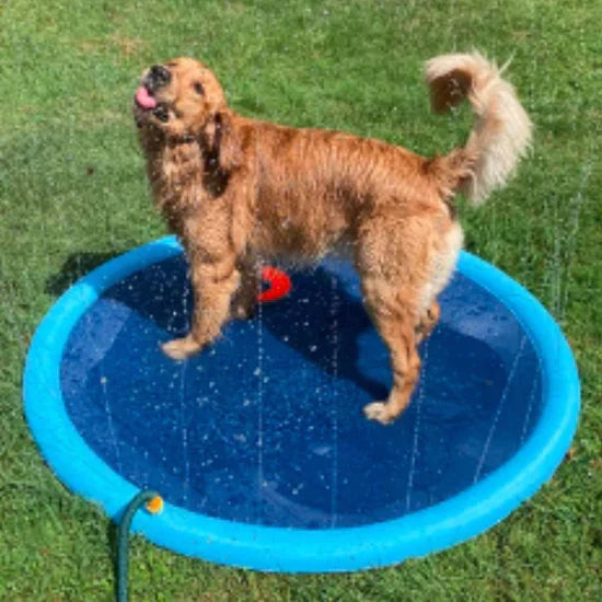 Pup Sprinkler Pad