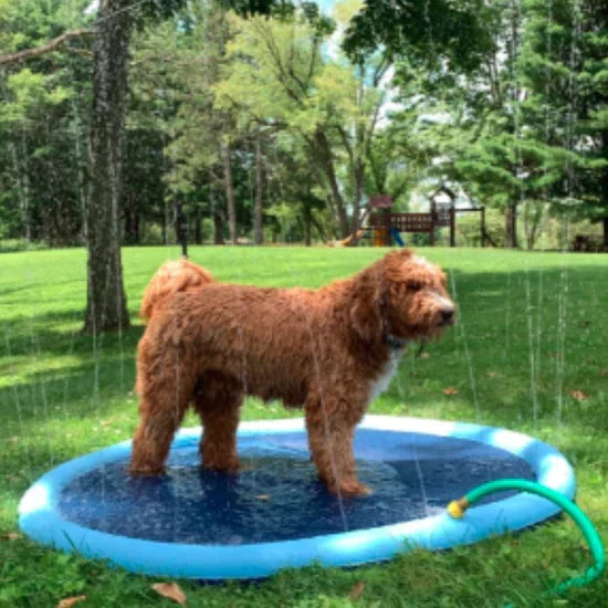 Pup Sprinkler Pad