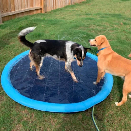 Pup Sprinkler Pad