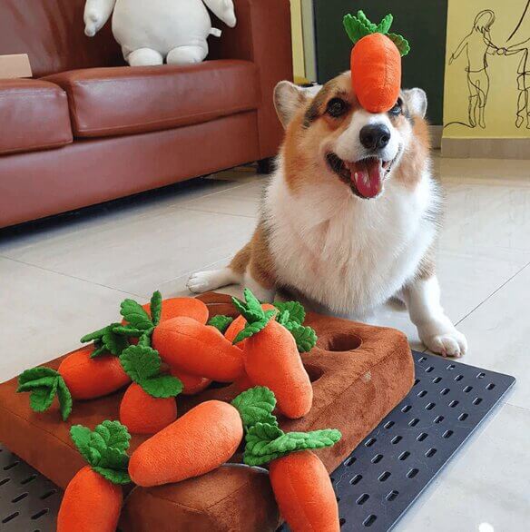 Carrot Patch Snuffle Toy